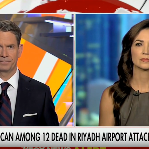 (Screenshot via Fox News)