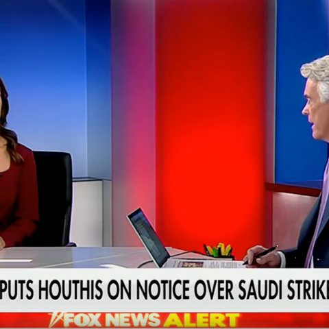(Screenshot via Fox News)