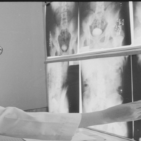 A radiologist at Womack Army Hospital, Fort Stewart, Georgia