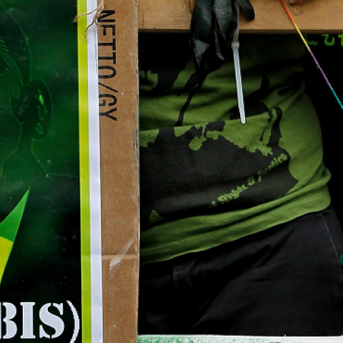 A young woman next to a satirical portrait of U.S. President Barack Obama while marching in support of the legalization of marijuana on August 7, 2010 in Berlin, Germany.(Sean Gallup/Getty Images)