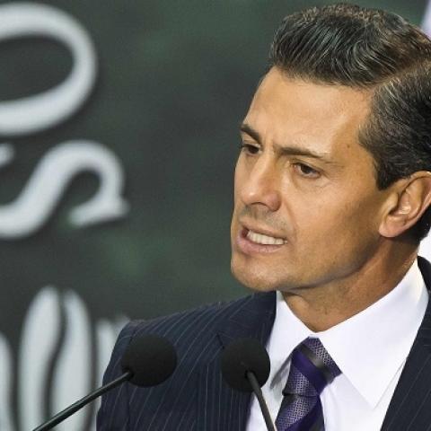 Mexican President Enrique Pena Nieto delivers a speech at the National Palace in Mexico City on January 13, 2014. (OMAR TORRES/AFP/Getty Images)