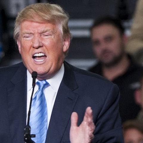 Republican presidential candidate Donald Trump addresses supporters during a campaign rally at the Greater Columbus Convention Center on November 23, 2015 in Columbus, Ohio. (Ty Wright/Getty Images)