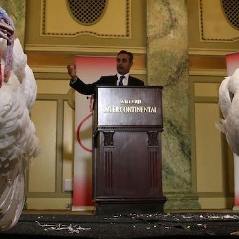 Jihad Douglas, chairman of the National Turkey Federation introduces two turkeys during a media availability at the Willard Inter Continental Hotel ahead of their 'pardon' by US President Barack Obama at the White House November 24, 2015 in Washington, DC