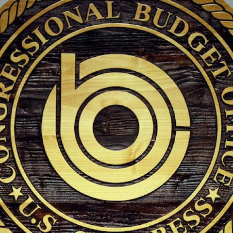 The Congressional Budget Office, January 26, 2010 in Washington, DC. (Chip Somodevilla/Getty Images)