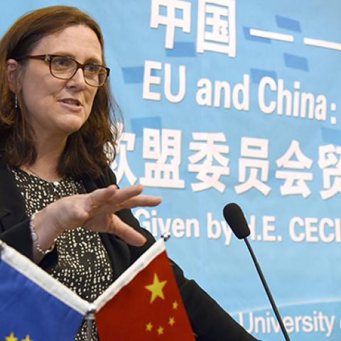 Cecilia Malmstrom delivers a speech at University of International Business and Economics in Beijing, July 11, 2016 (VCG/VCG via Getty Images)