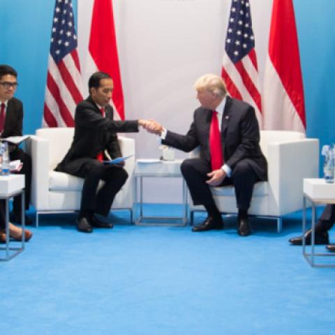 President Donald J. Trump and President Joko Widodo (Official White House Photo/Shealah Craighead)