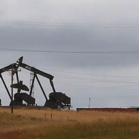 Pump jacks are seen on the Bakken Shale Formation, near Williston, North Dakota, September 6, 2016.