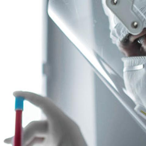 A researcher holds a tube with the coronavirus