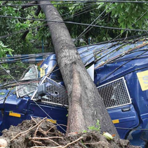 A security van is crushed by an uprooted tree in the aftermath of Cyclone Amphan at Beliaghata on May 21, 2020 in Kolkata, India.