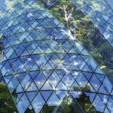 Sustainably managed companies are positioned for long-term growth