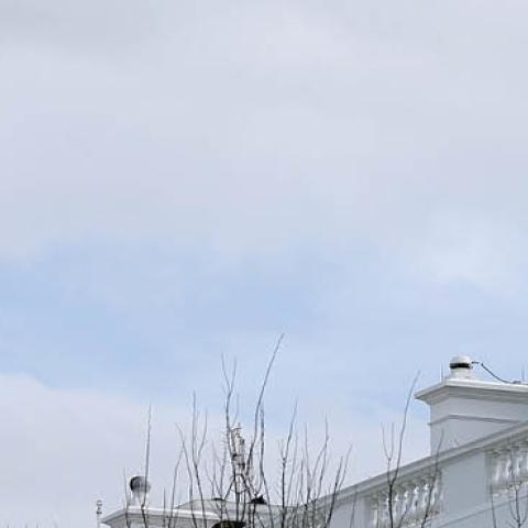 he American flag flies at half-staff at the White House in honor of the victims of Monday's mass shooting in Boulder, Colorado, on March 23, 2021 in Washington, DC (Photo by Chip Somodevilla/Getty Images) 