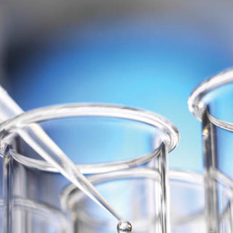 A scientist pipettes a sample into a test tube while conducting medical research. (Getty Images/Westend61)