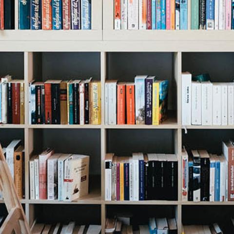 Books line the shelves of a public library. (Romans Drics / EyeEm via Getty Images)