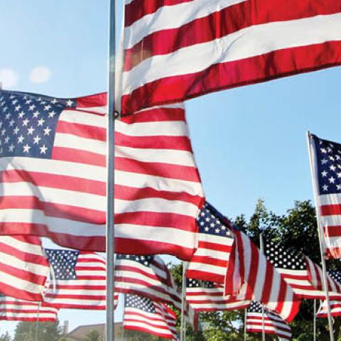 United States flags blow in the wind. (Getty Images)