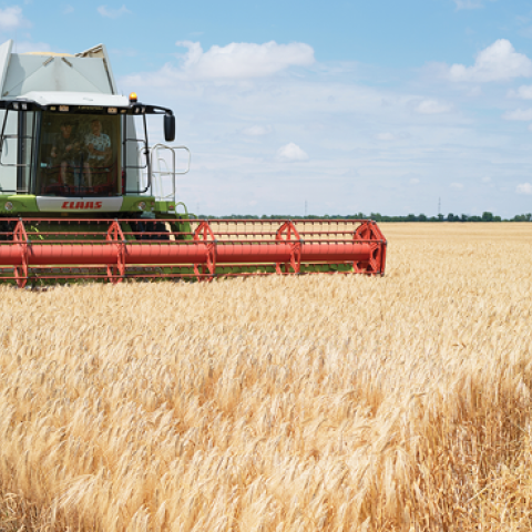 Agricultural workers harvest a wheat field on June 26, 2022, outside of Odesa, Ukraine. (Photo by Pierre Crom/Getty Images)