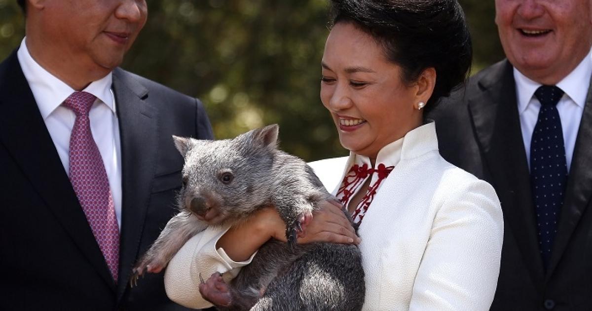 What Surging Chinese Investment in Australia Says about China | Hudson ...
